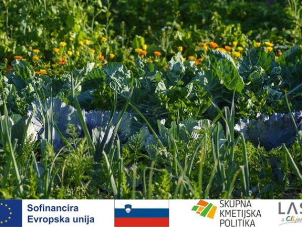 BIODINAMIKA, KAJ JE TO?