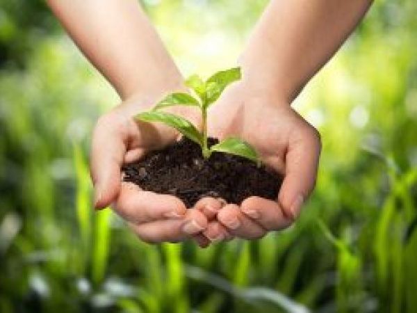 Delavnica Humus+ na temo SISTEMA CERTIFICIRANJA in SPREMLJANJA HUMUSA V TLEH